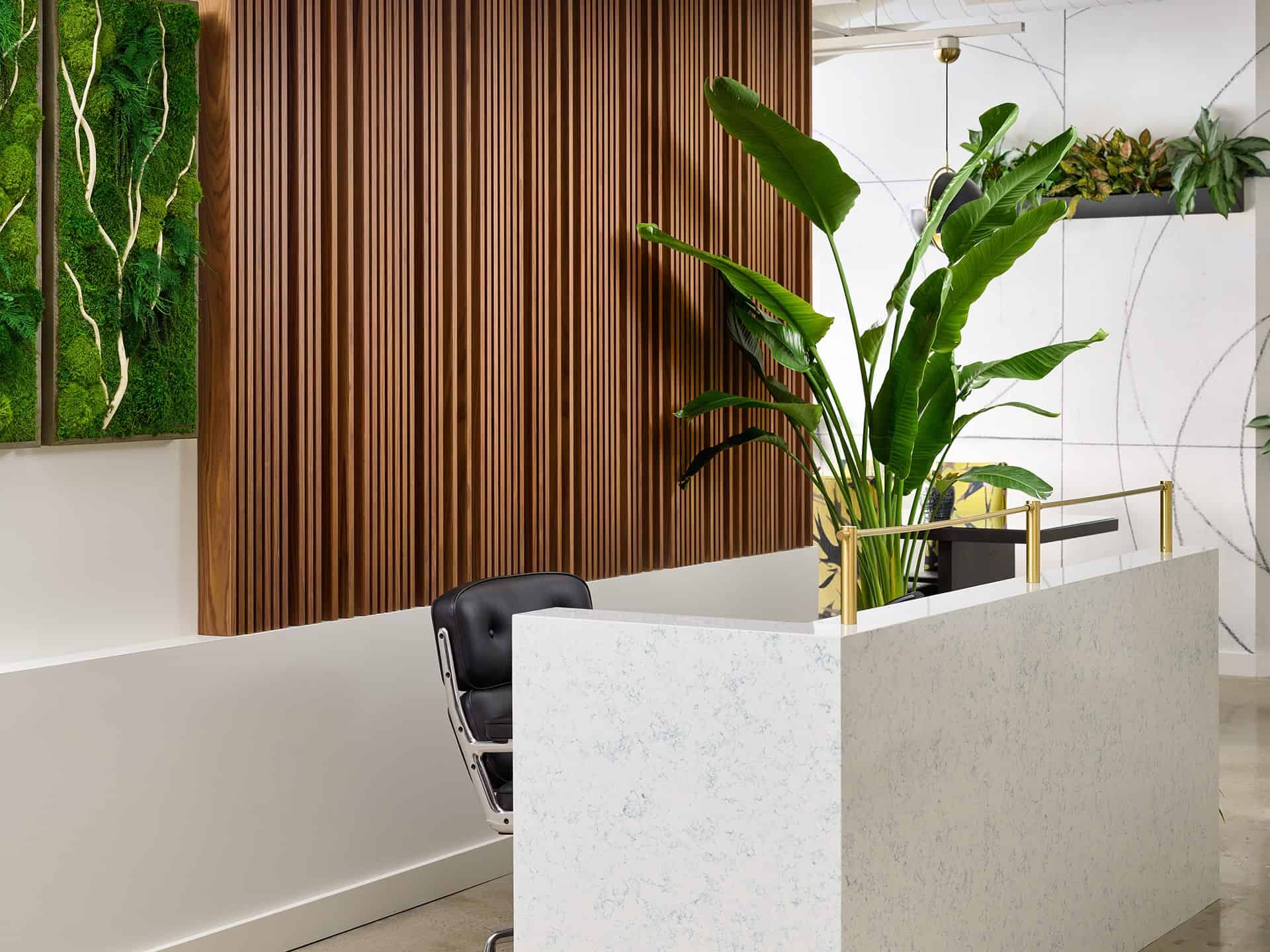 plants office duet design group